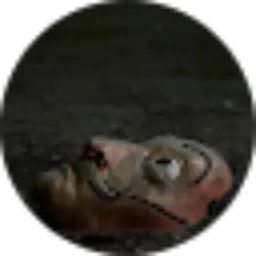 Review From Ikhsan Sobri