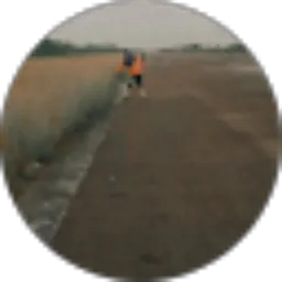 Review From Tia syafina