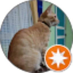 Review From R14 Antoni