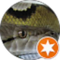 Review From Randy Adistya