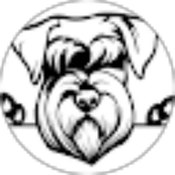 Review From Bryan Ramos