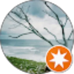 Review From Bon