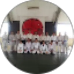 Review From Hans Kurniawan