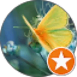 Review From Wimby Chanels1