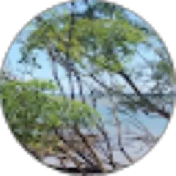 Review From Ruang Baca