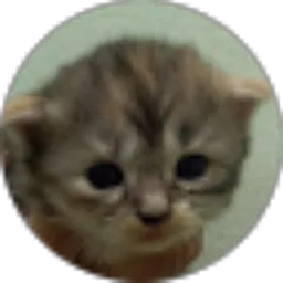 Review From Khairunnisa MA