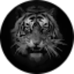 Review From Ade Koswara