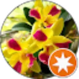 Review From keluarga madkartim