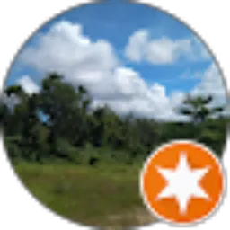 Review From Petrus Raharjo