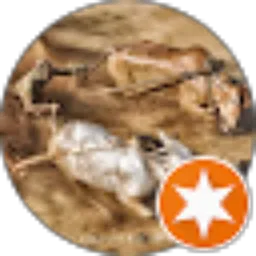 Review From Minangkabau_ Adventure