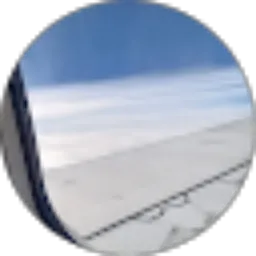 Review From Ajiningtyas Nanda