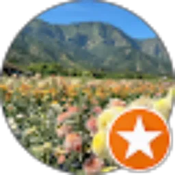 Review From Hildayanti