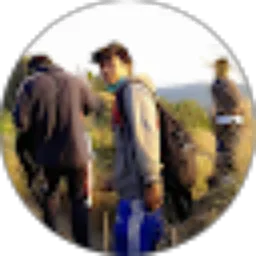 Review From Dwi Hari Saputra