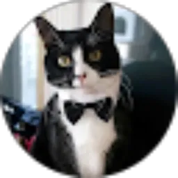 Review From funny animal