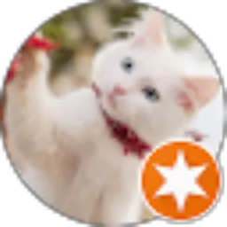 Review From debby ariani