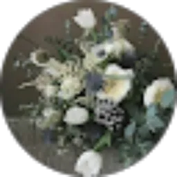 Review From Paramita NH Effendy