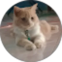 Review From Siti Hajar