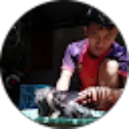 Review From Rizqy Pahlevi