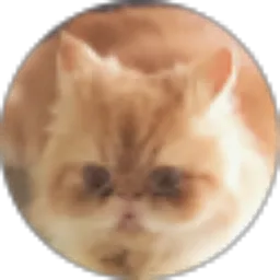 Review From Aju wieta