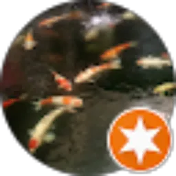 Review From Pamungkas H