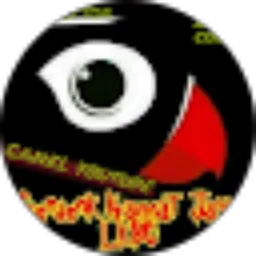 Review From gendenk Kramat jaya cat animal lover