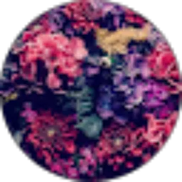 Review From Apridyta Rachma Aryani