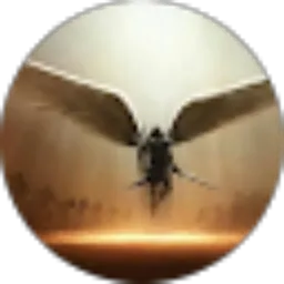 Review From Juanda Athoff