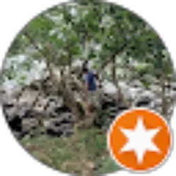 Review From Robin Fandito