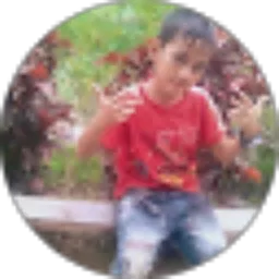 Review From balan gun