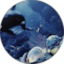 Review From Sukoci Koci