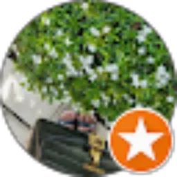 Review From Wiwid Widha