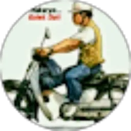 Review From guntur hardianto