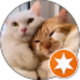 Review From Iva Muzdalifah