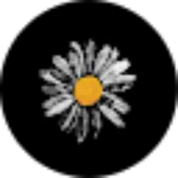 Review From Erma Nurur Roihanatun