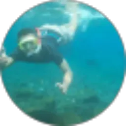 Review From agung Maulana