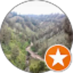 Review From robi sukarno