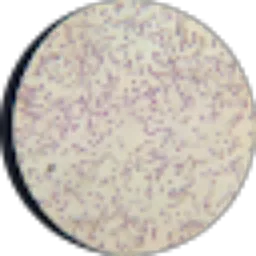 Review From Kehidupan Perjalanan