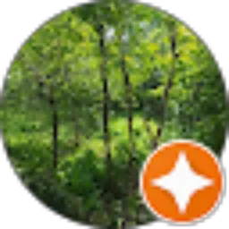 Review From Fliying Dutchman