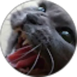 Review From indra yustian