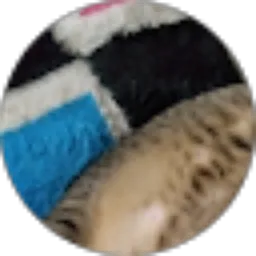 Review From bubu & bibi Nasution