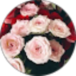 Review From Isnawati Dwi Apsari