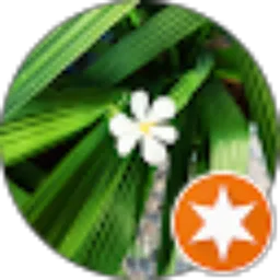 Review From Elva Siahainenia