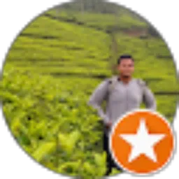 Review From Dian Saputra