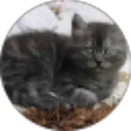 Review From rizkita balqis