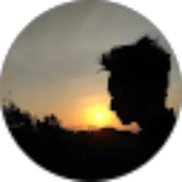 Review From Gerald Berlian