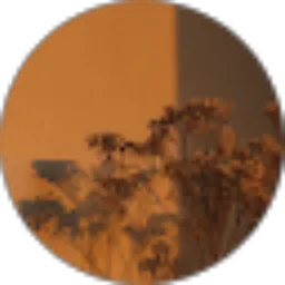 Review From Melania Beatriks Rembu