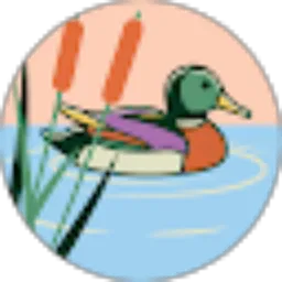 Review From Gandi Irawan