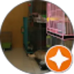 Review From Funny Grooming