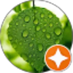 Review From bbTanzz FiorsC