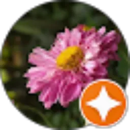 Review From Puspita Sari